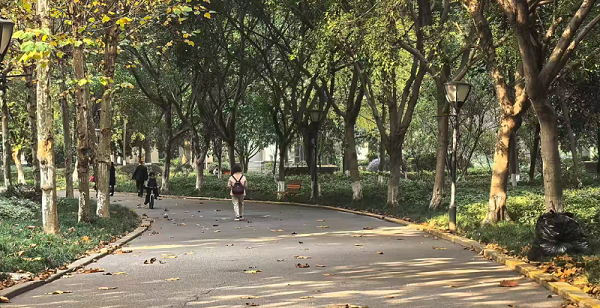 乐冠体育环保：多地加码“两网融合”环卫模式
