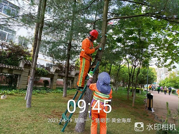 市政管养一体化-乐冠体育环保2