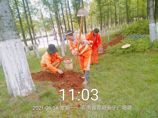 市政管养一体化-乐冠体育环保3