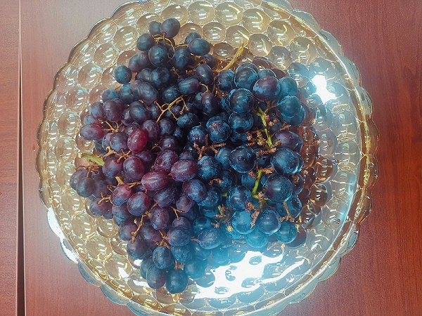 乐冠体育环保端午节茶话会5