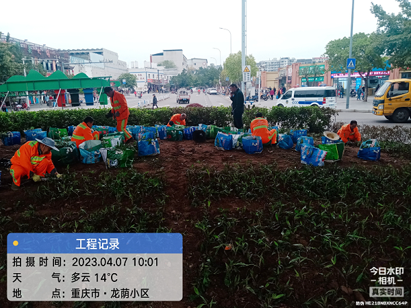 乐冠体育环保：绿化补栽
