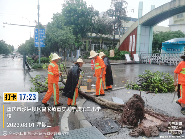 乐冠体育环保：绿化排危