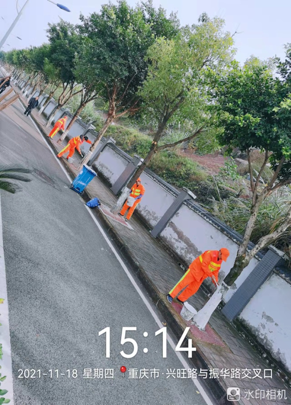 乐冠体育环保：刷白护树