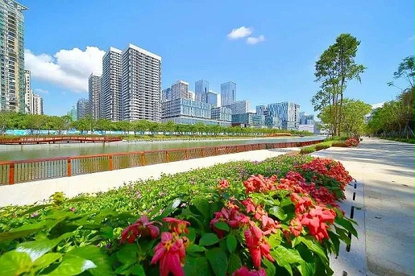 深圳美丽的城市街道-乐冠体育环保