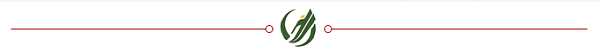 0结束标志-乐冠体育LOGO
