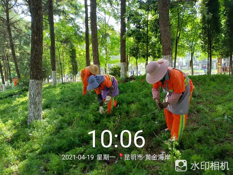 市政管养一体化-乐冠体育环保