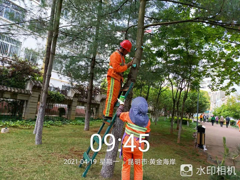 市政管养一体化-乐冠体育环保2