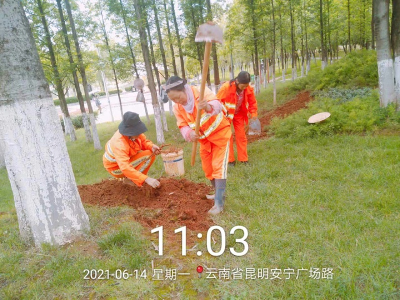 市政管养一体化-乐冠体育环保3