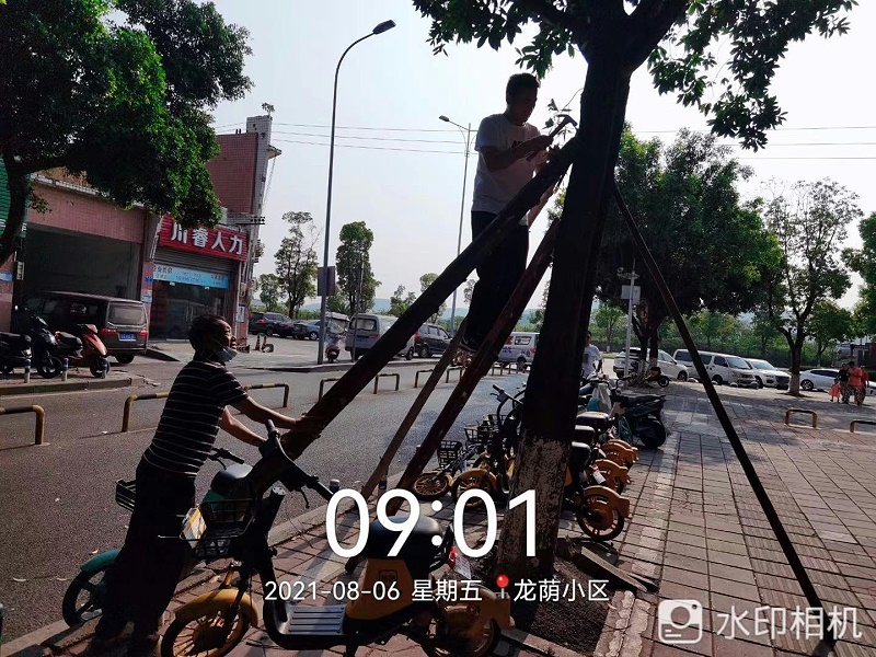 乐冠体育环保-重庆市环卫服务