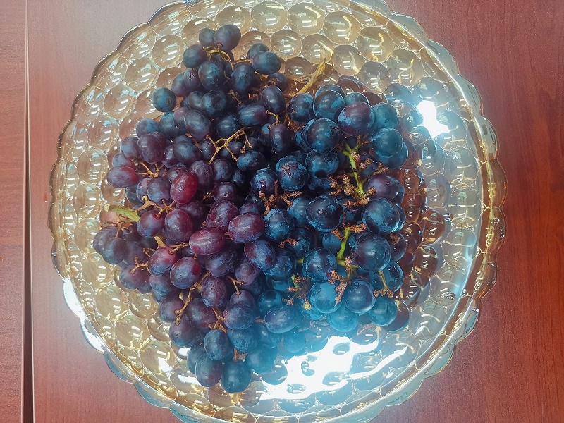 乐冠体育环保端午节茶话会5