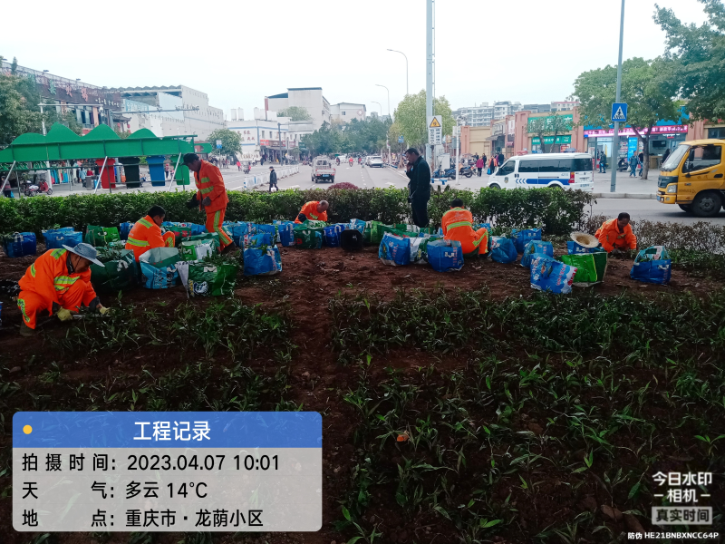 乐冠体育环保：绿化补栽
