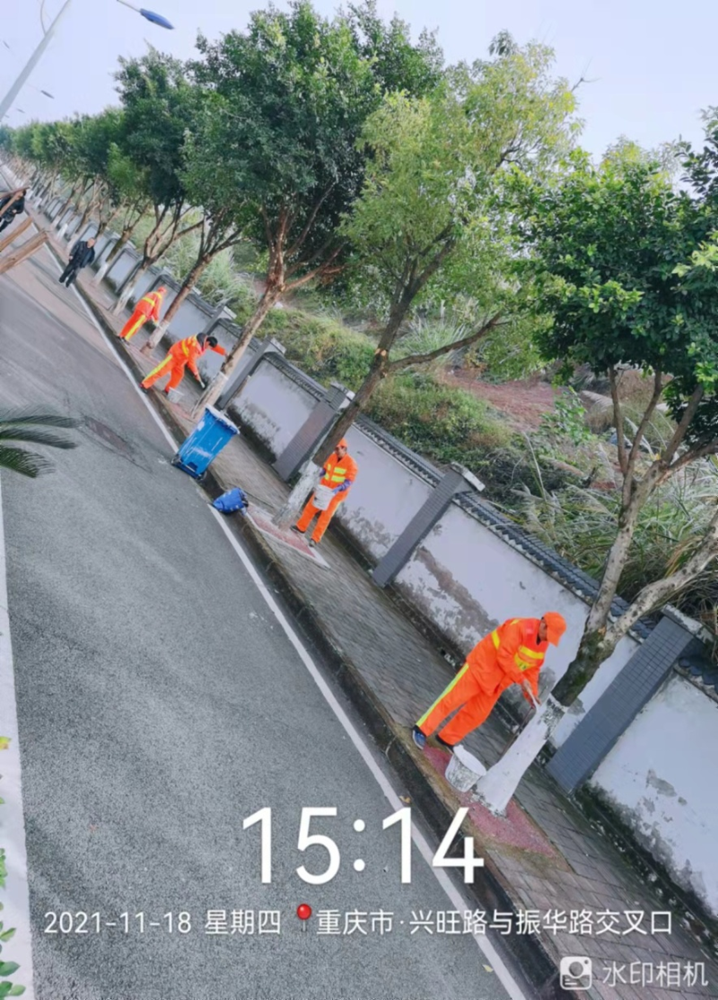 乐冠体育环保：刷白护树