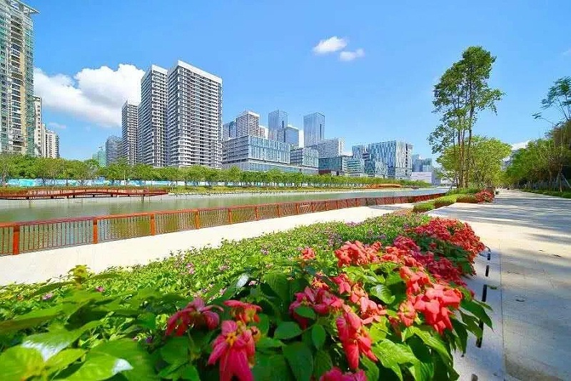 深圳美丽的城市街道-乐冠体育环保