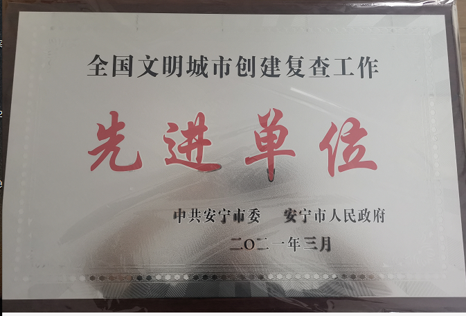 安全市全国文明城市创建复查工作先进单位-乐冠体育环保