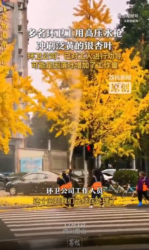 乐冠体育环保：环卫工用高压水枪冲刷银杏叶